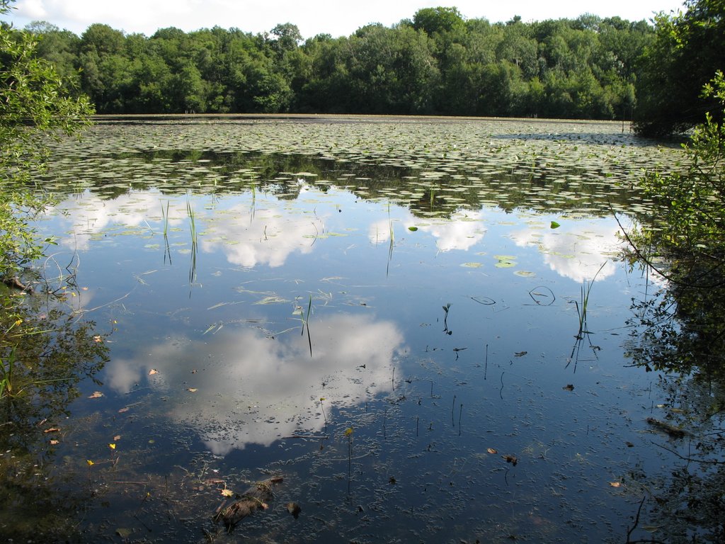 Etang neuf de Gambaiseuil 001